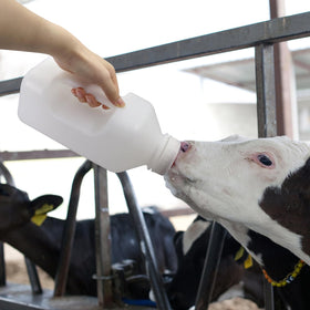 APlayfulBee heavy-duty bottle material resists collapse during vigorous nursing.