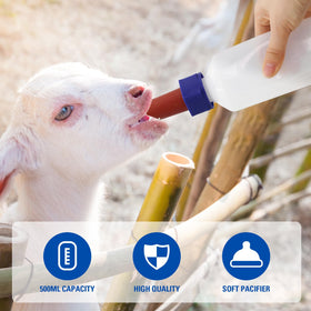 APlayfulBee pacifiers support orphaned small animals across species