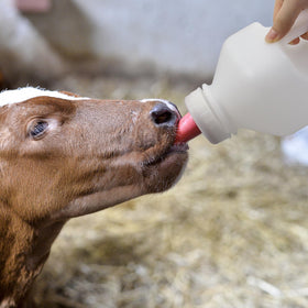 APlayfulBee rubber teat provides durable, reusable feeding for various orphaned young animals.