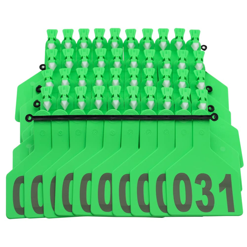 APlayfulBee Z Tags ear tag in green front view for clear cattle identification