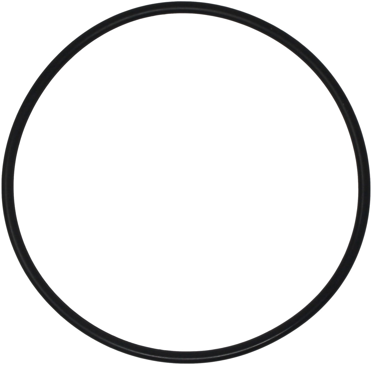 AppliaFit heavy-duty O-ring demonstrates premium-material durability for pool equipment.