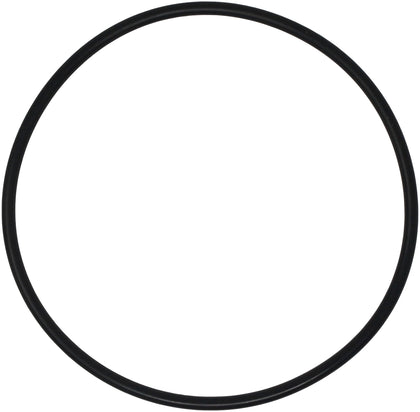 AppliaFit lid O-ring for Hayward AXW542 — close-up seal for a reliable fit.