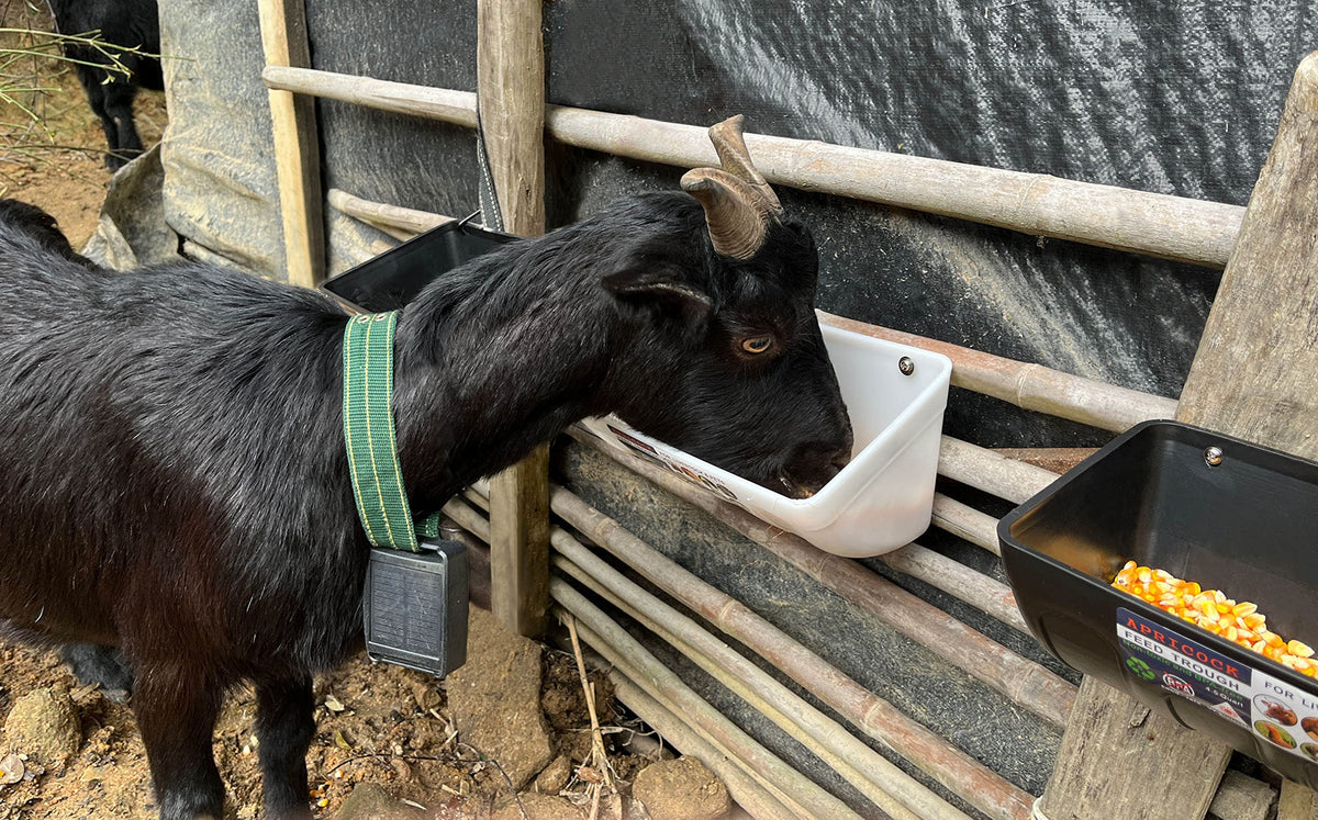 APRICOCK two-pack feeder helps organize feeding stations across paddocks.