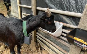 APRICOCK two-pack feeder helps organize feeding stations across paddocks.