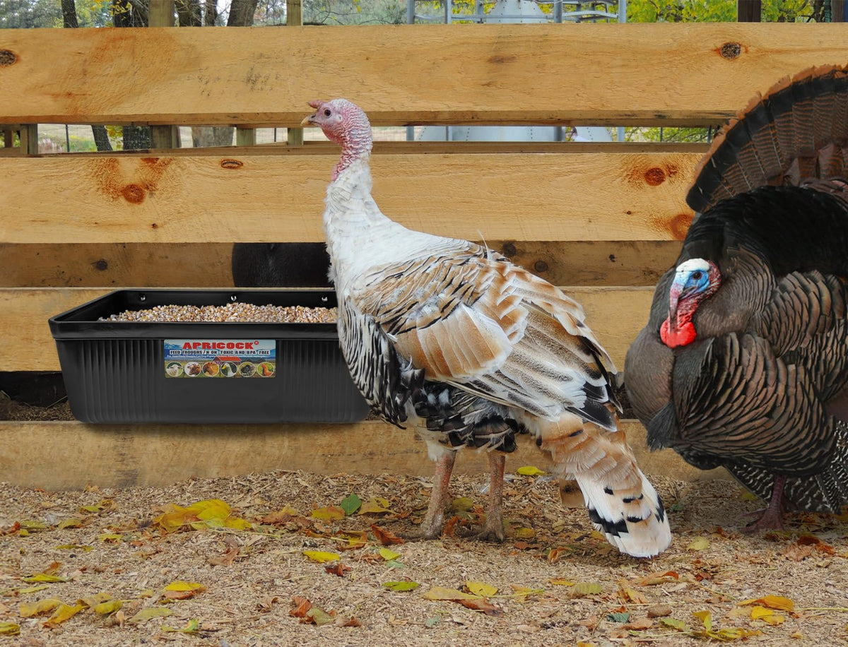APRICOCK BPA-free plastic — safe, durable feeding solution.