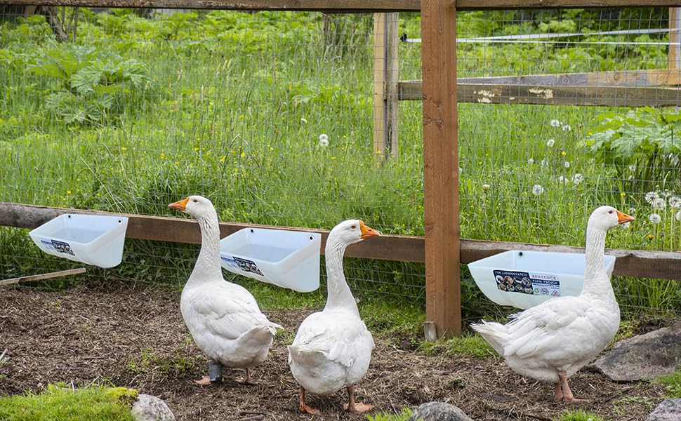 APRICOCK durable plastic, all-season use for farm settings