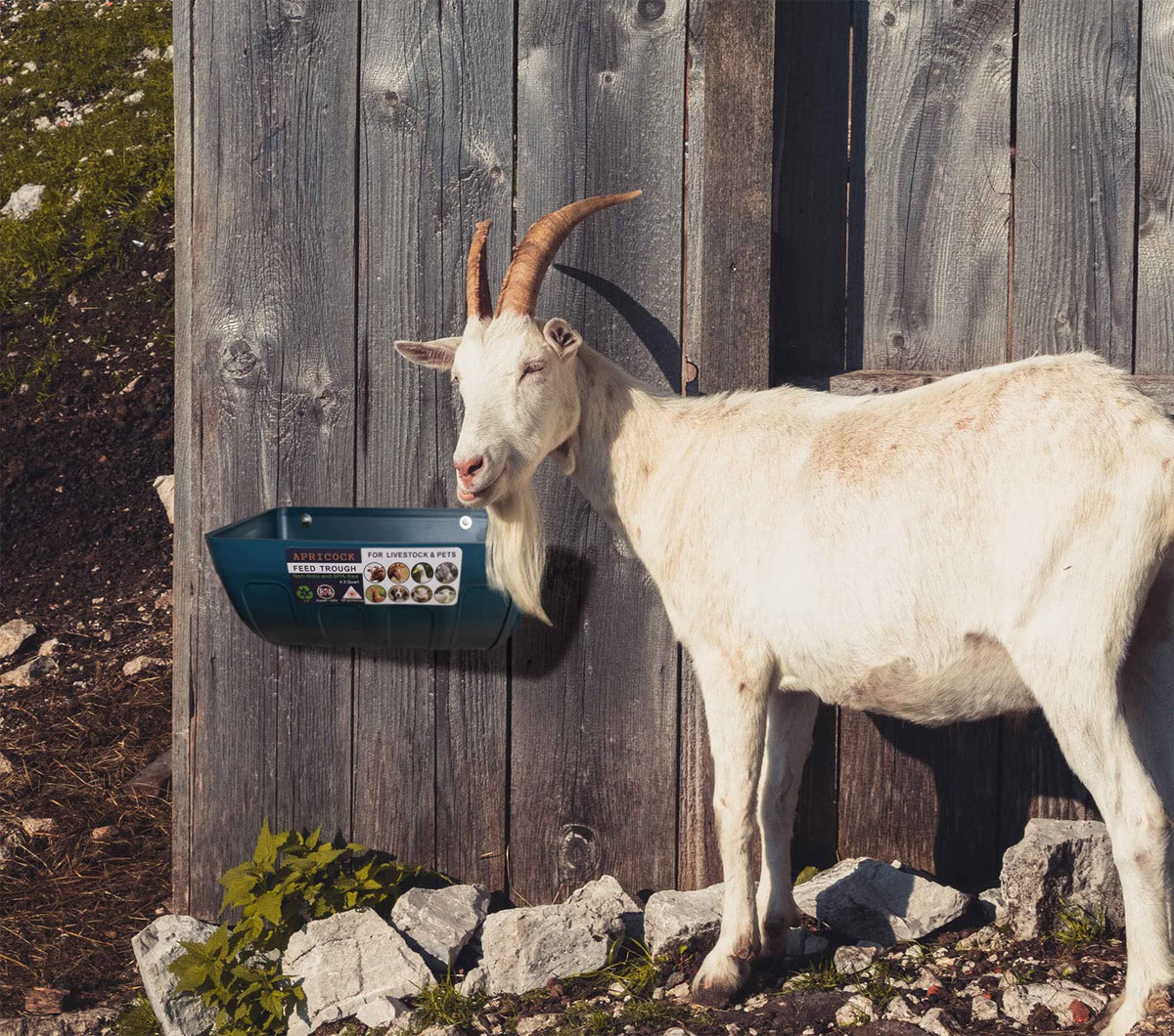 APRICOCK goat feeder suspended on wire mesh for flexible placement