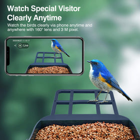Aprilmin one point eight liter food container extends feeding between visits.