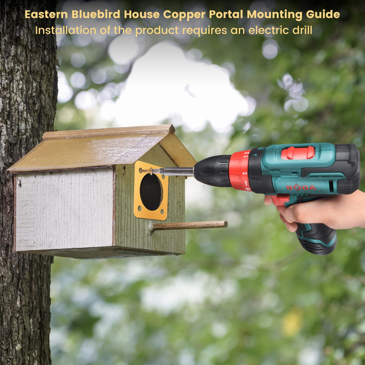 AQKILO nest protection in action on a birdhouse.