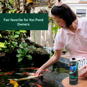 Koi fish thriving in AquaDoc-treated clear pond water.