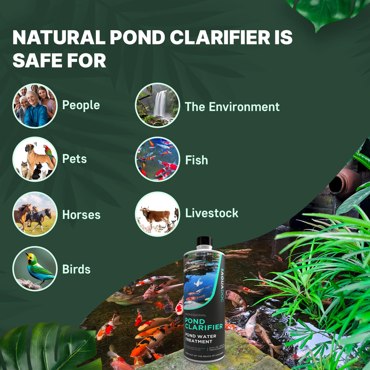 AquaDoc Clarifier being poured into a koi pond to reduce cloudiness.
