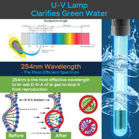 AquaMiracle 8W UV light clarifies green water and improves visibility.