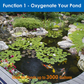 AquaMiracle check valves detail emphasizing backflow prevention for ponds