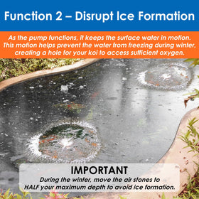 AquaMiracle pond aerator in operation promotes healthy water movement.