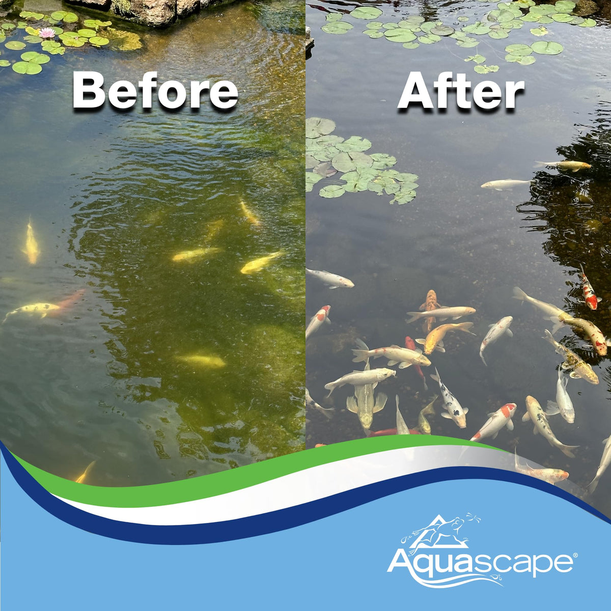 Aquascape algaecide pour for easy dosing in ponds.