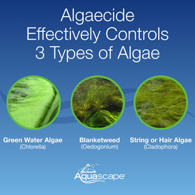 Aquascape algaecide on pond with visible algae before treatment.