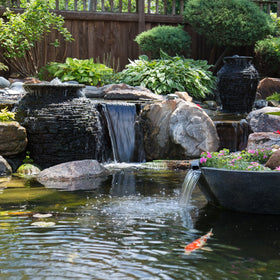 Aquascape Clean Water for Ponds promotes clearer water and healthier koi.