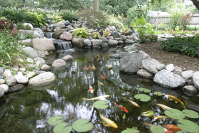 Aquascape bottle with dosing pump enabling precise, mess-free application