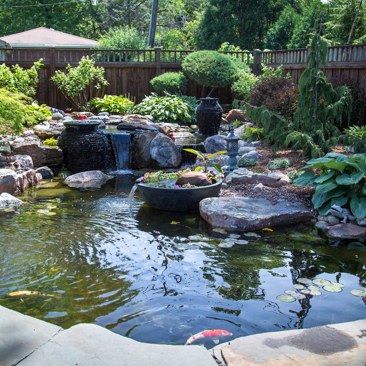 Aquascape Dosing System SL in use with a fountain and small pond