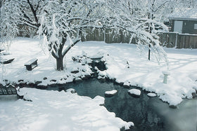 Koi pond with Aquascape bacteria safe for fish and aquatic life