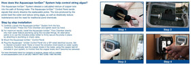 Clear pond water appearance with IonGen system enhancing beauty and clarity