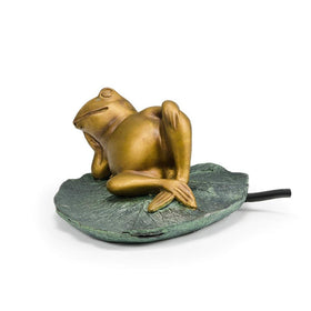 Aquascape pond fountain Lazy Frog creates a focal point with gentle spray