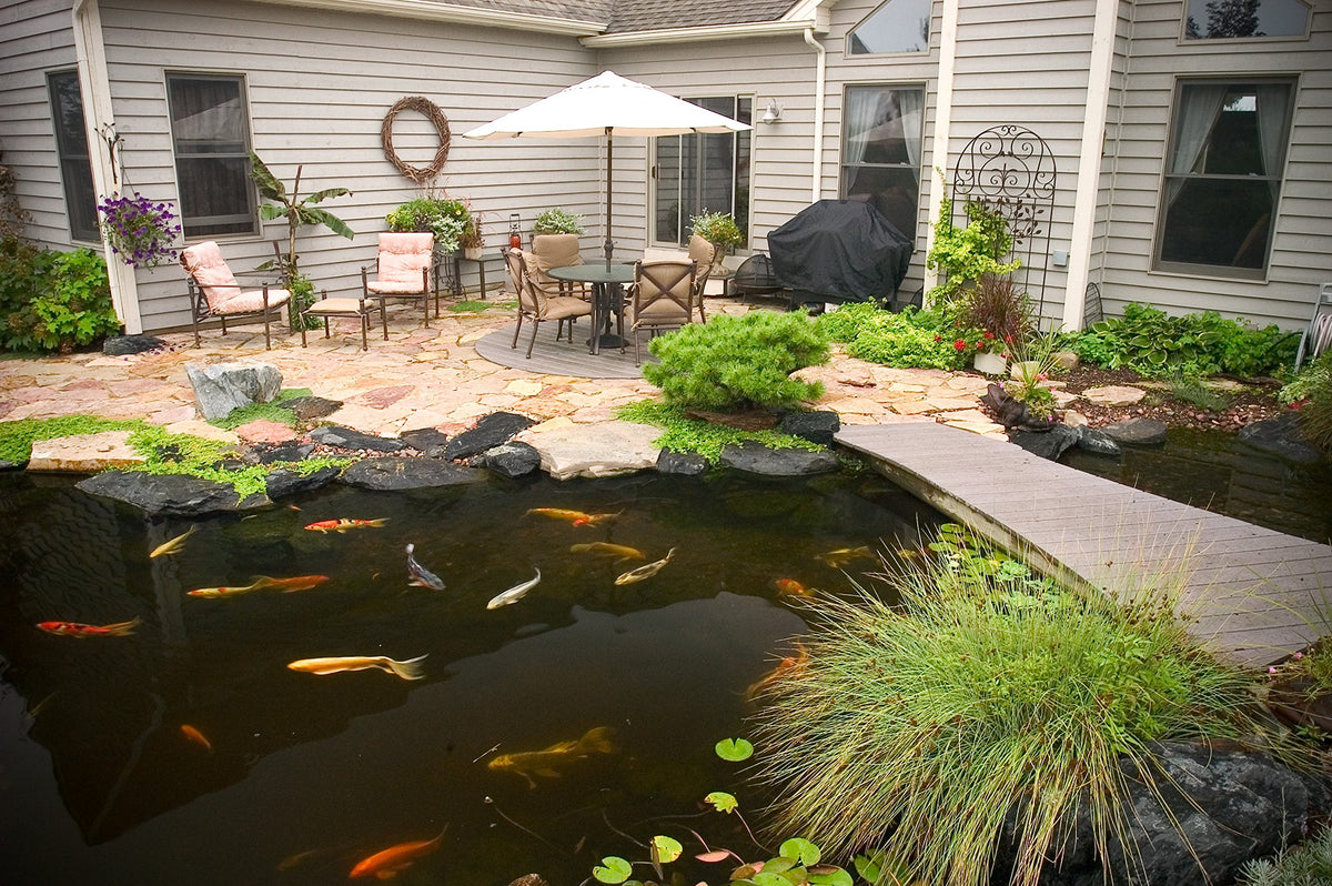 Pond water clarity improved with Aquascape cold water bacteria