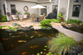 Pond water clarity improved with Aquascape cold water bacteria