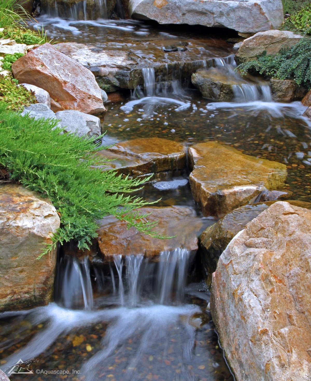 Aquascape filter pads in action help capture finer particles for healthier looking water.