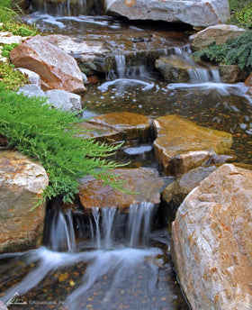 Aquascape filter pads in action help capture finer particles for healthier looking water.