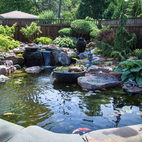 Aquascape SAB Stream & Pond Clean powder-pack simplifies regular maintenance.