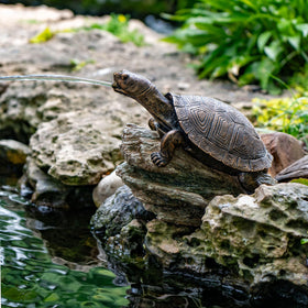 Aquascape Turtle on Log Spitter compact size fits ponds and patios.