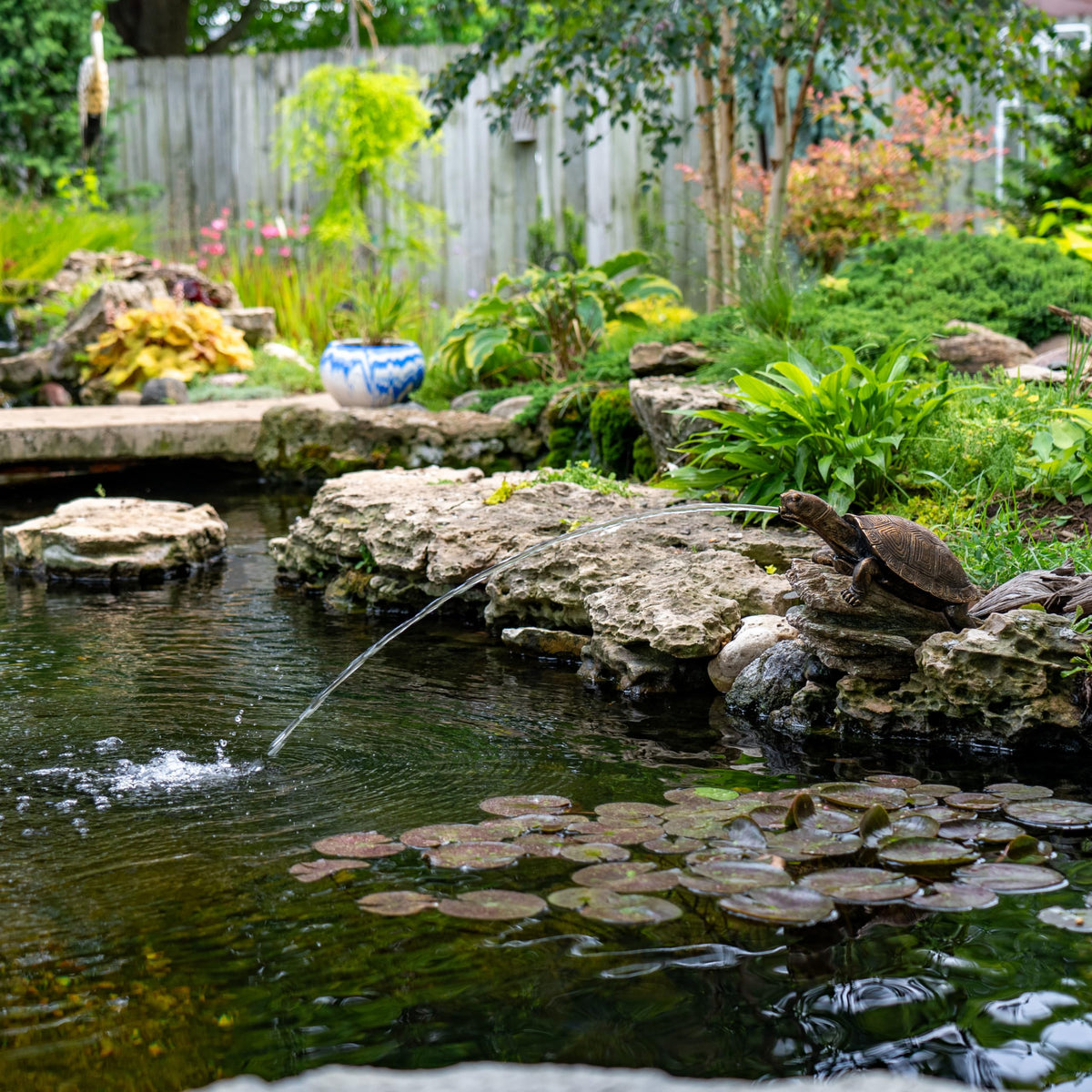 Aquascape Turtle on Log Spitter lightweight, easy installation fountain accent.