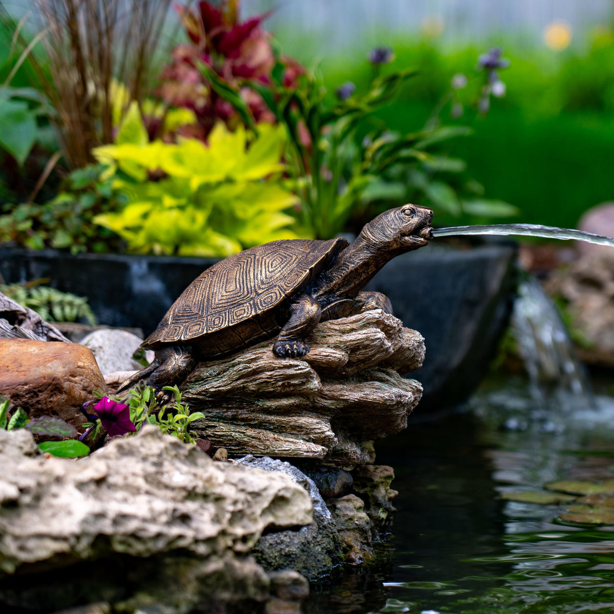 Aquascape Turtle on Log Spitter pour detail shows gentle fountain from turtle's mouth.