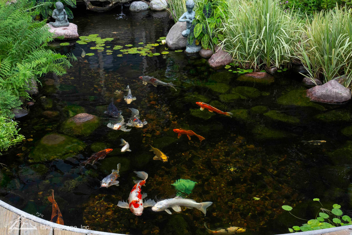 Aquascape 3-year warranty seal assures long-term support for the UltraKlean.
