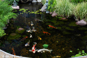 Aquascape 3-year warranty seal assures long-term support for the UltraKlean.