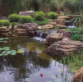 Aquascape Waterfall Spillway used as an additional waterfall feature