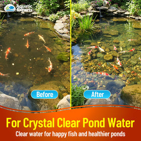 Aquatic Experts pond filter pad installed in Savio RS020 unit for improved flow