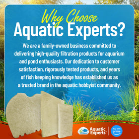 Aquatic Experts scene of koi pond with filter pad in action