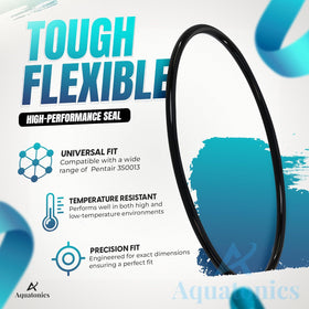 Aquatonics Pentair 350013-compatible o-ring ensuring versatile replacement.