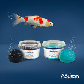 Step-by-step usage of Aqueon PURE Sludge Bomb shown for beginners.