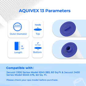 AQUIVEX 6000-383A filter assembly for Jacuzzi-compatible spa system