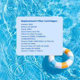 AQUIVEX CX580XRE cartridge designed for easy hose cleaning after use.