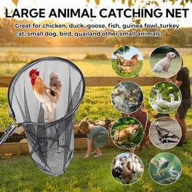 AQWXC Catch Net with 20-inch opening for restraining small animals.