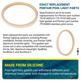 AR-PRO exact replacement for Pentair 79101600Z/79104800 parts