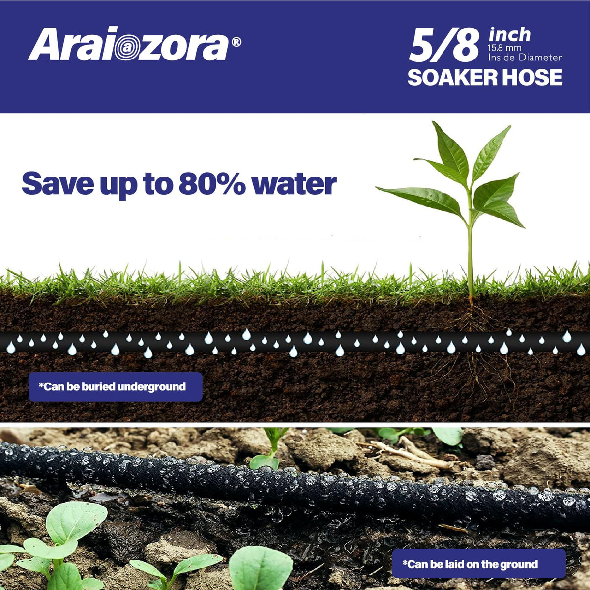 Hose linked with another for extended landscape coverage