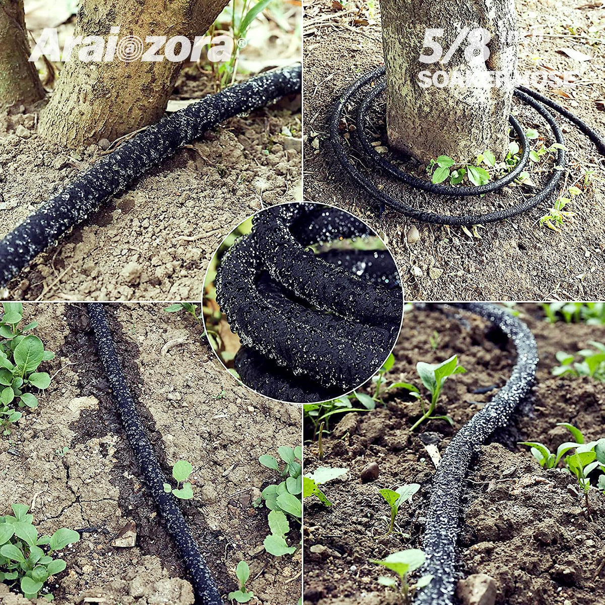 Hose rolled for easy storage after irrigation