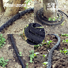 Hose rolled for easy storage after irrigation