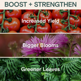 Compatibility across trees, shrubs, and potted plants with ARBER Bio Protectant