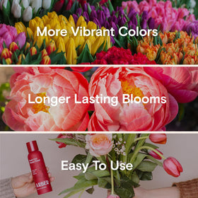 ARBER flower food packet and bottle set used in floral arrangements